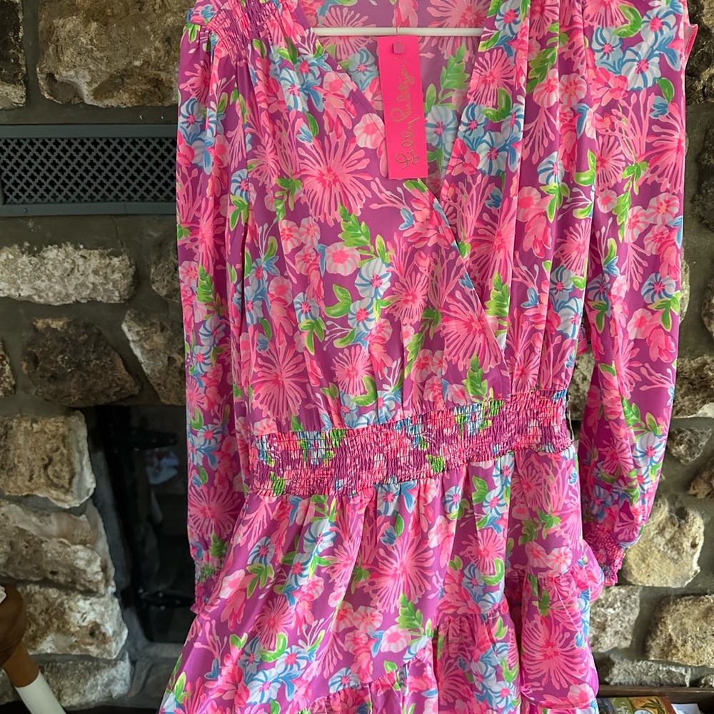 Lilly Pulitzer “moms the word” dress in amethyst - Picture 4 of 6